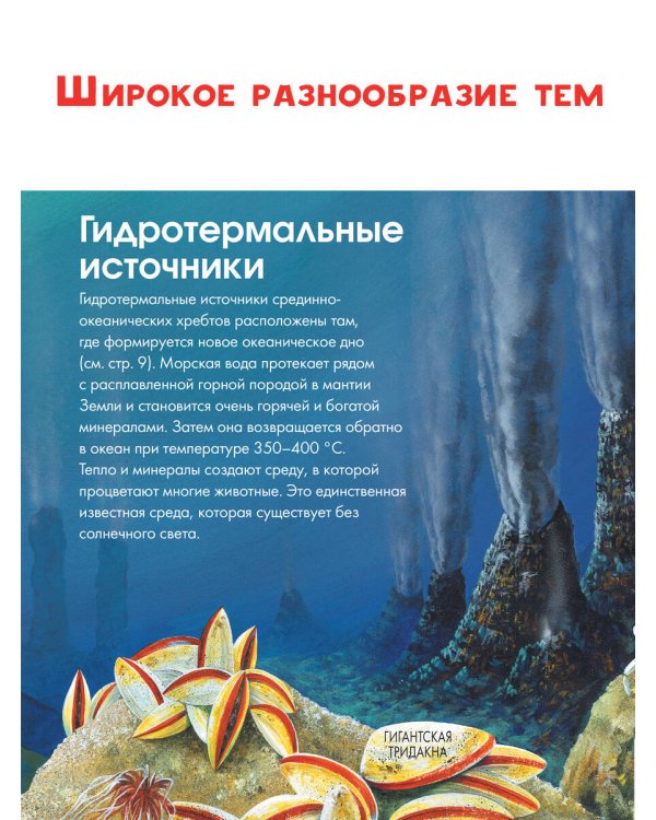 Подводный мир