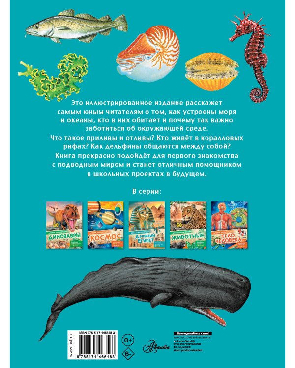 Подводный мир