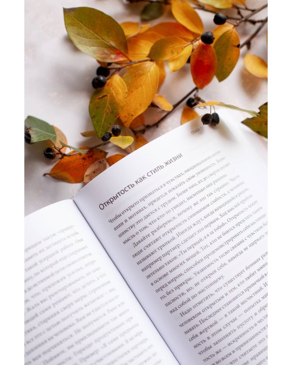 Освобождение чувств. Как преодолеть последствия негативного детского опыта и не дать ему разрушить вашу жизнь