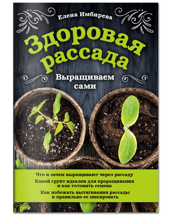 Здоровая рассада. Выращиваем сами