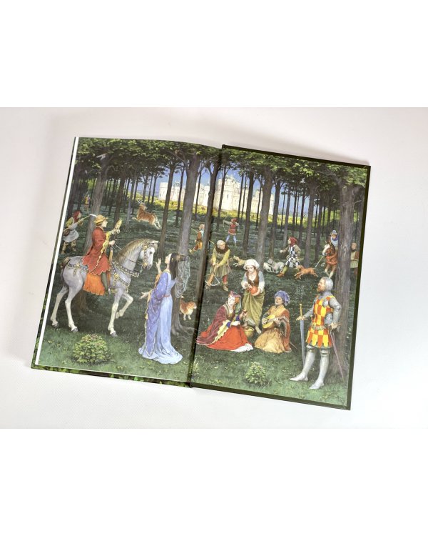 Роман о Тристане и Изольде (с иллюстрациями Дениса Гордеева)