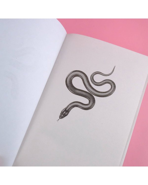 Что охотится в тени