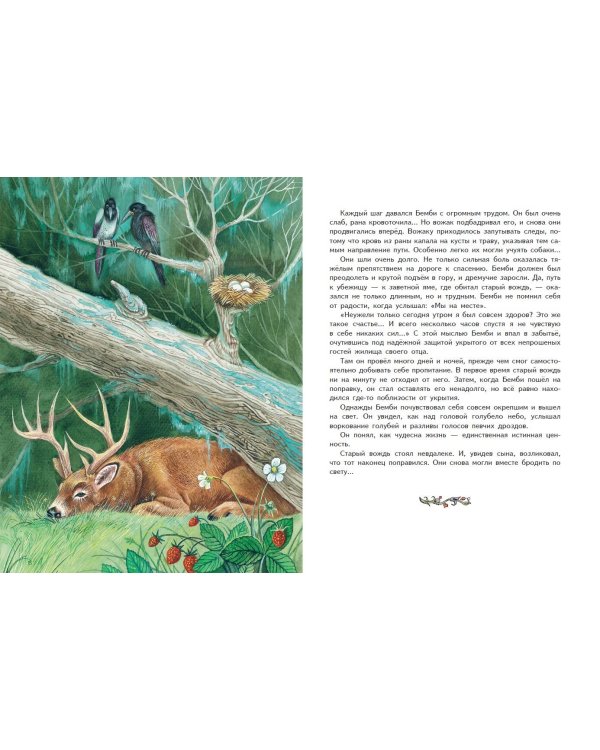 Бемби (ил. М. Митрофанова)
