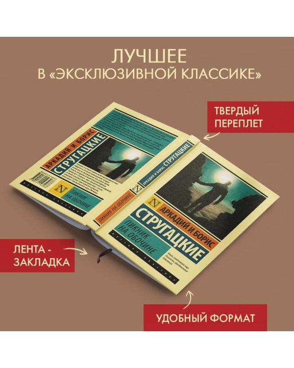 Пикник на обочине