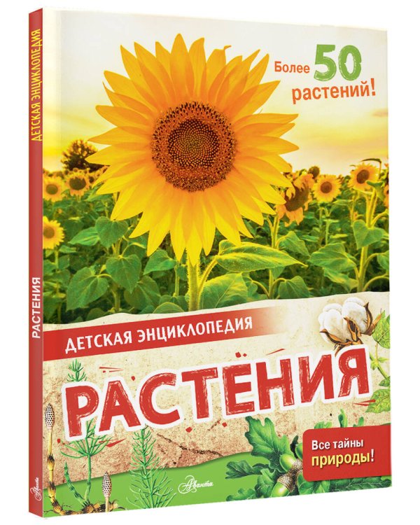 Растения