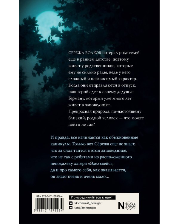 Темнейджеры. Каникулы в Чернолесье