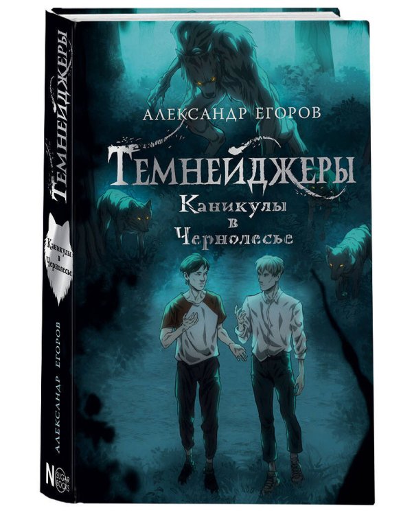 Темнейджеры. Каникулы в Чернолесье