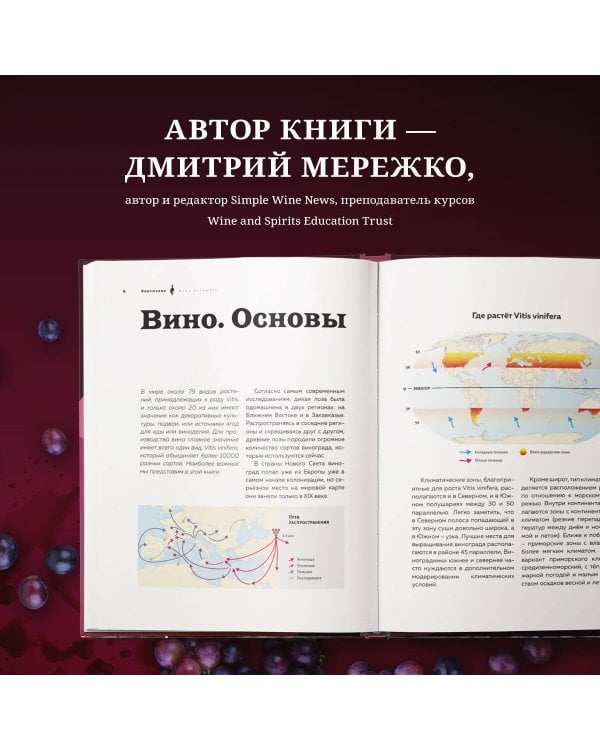 Виномания. Наглядный путеводитель по винному миру