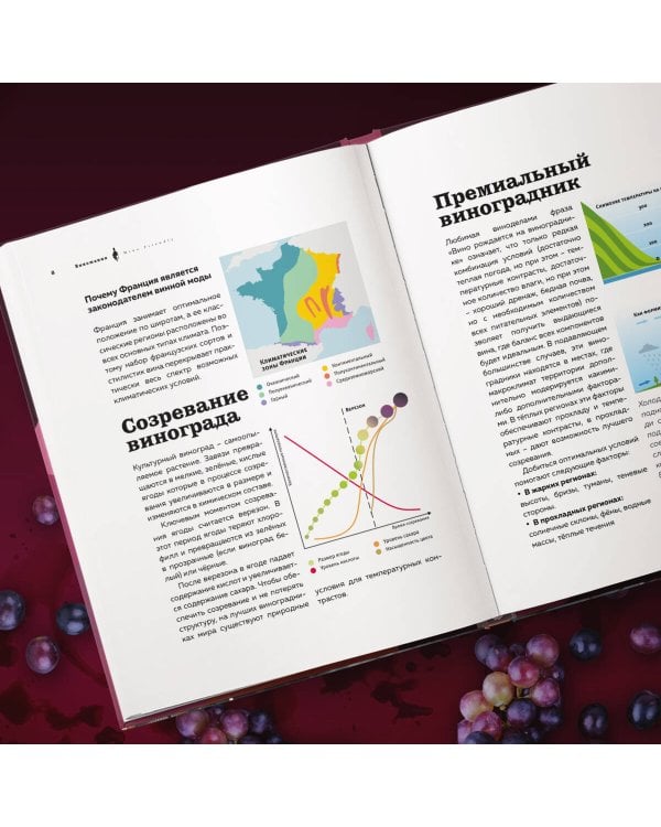 Виномания. Наглядный путеводитель по винному миру