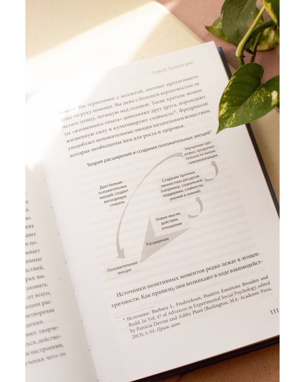 Больше силы в каждом дне. Источники жизненной силы для самого важного