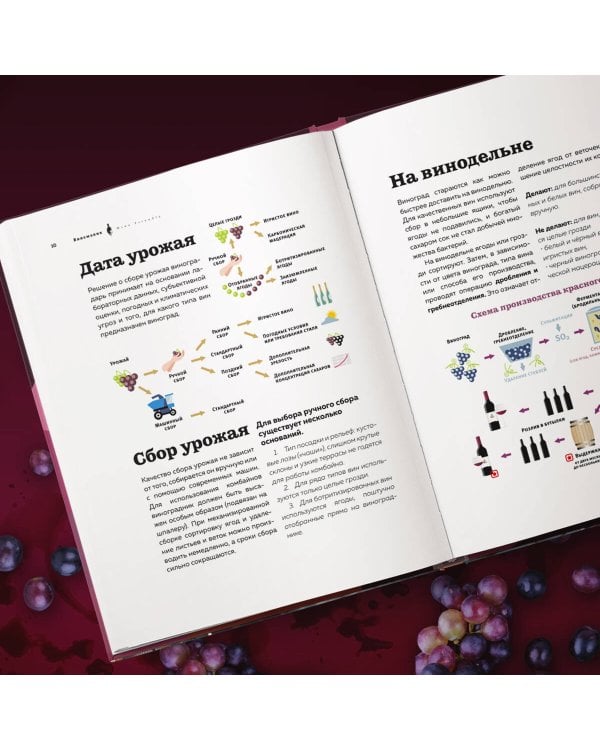 Виномания. Наглядный путеводитель по винному миру