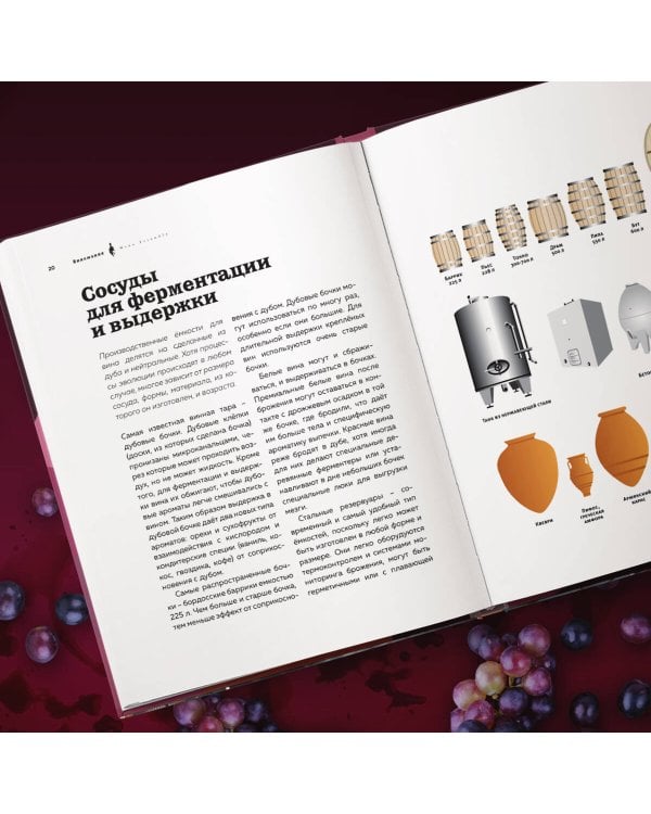 Виномания. Наглядный путеводитель по винному миру