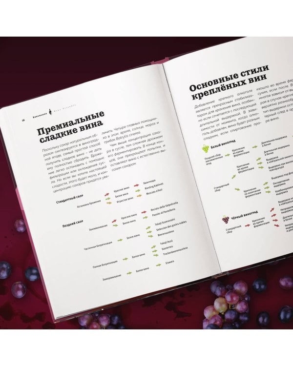 Виномания. Наглядный путеводитель по винному миру