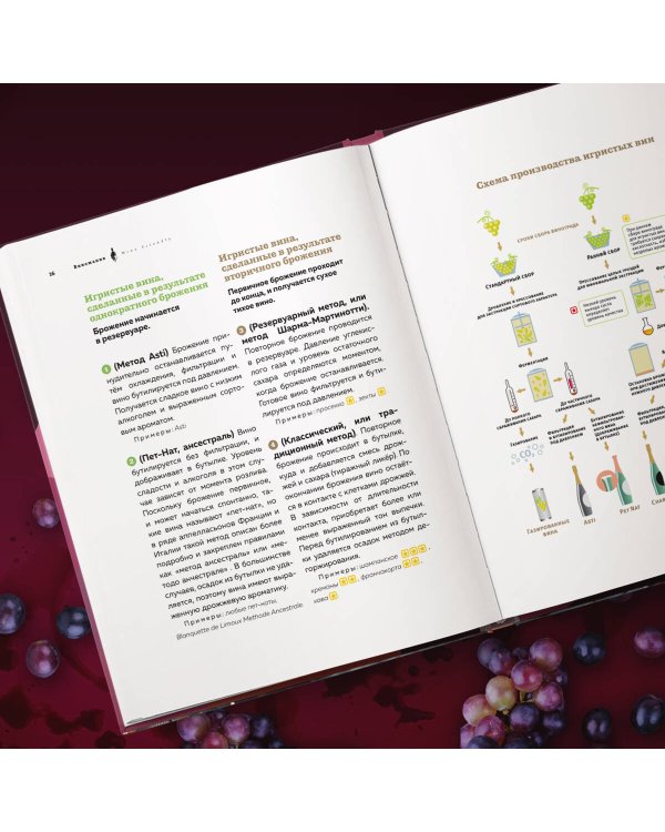 Виномания. Наглядный путеводитель по винному миру