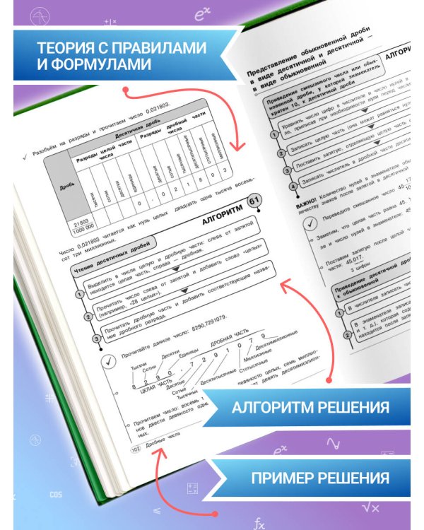 Математика. 5-6 классы