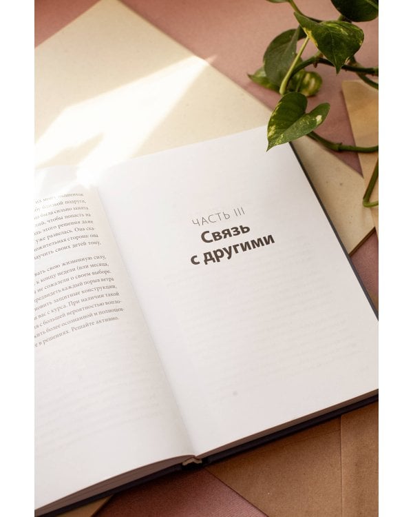 Больше силы в каждом дне. Источники жизненной силы для самого важного