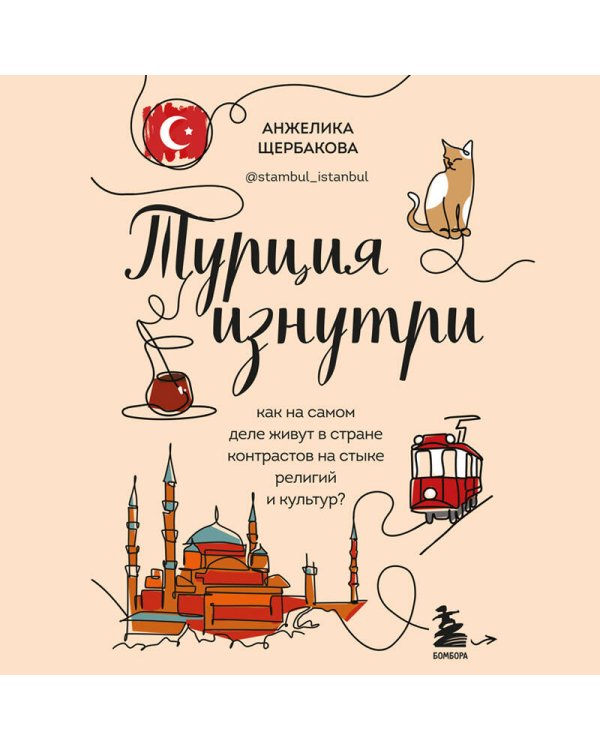 Турция изнутри. Как на самом деле живут в стране контрастов на стыке религий и культур? (дополненное издание)