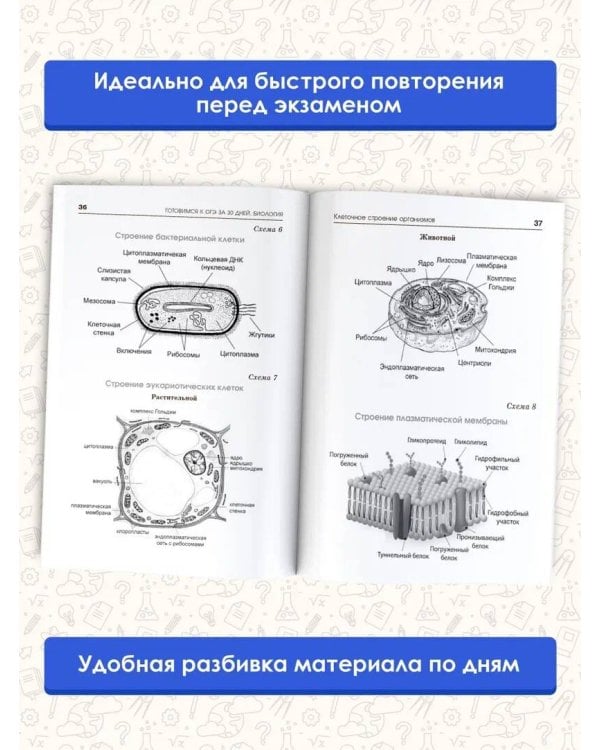 Готовимся к ОГЭ за 30 дней.Биология