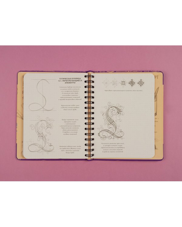 Sketchbook с уроками внутри. Рисуем красивые шрифты (искусство леттеринга)