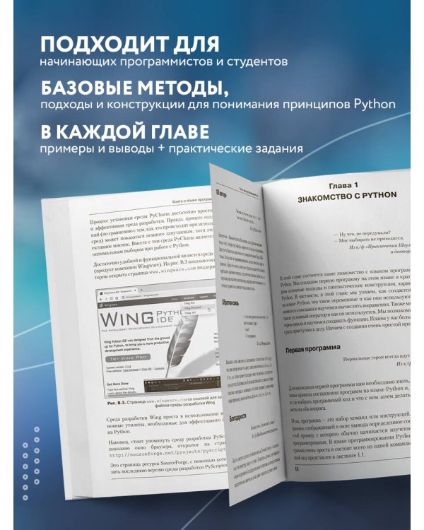 Программирование на Python в примерах и задачах