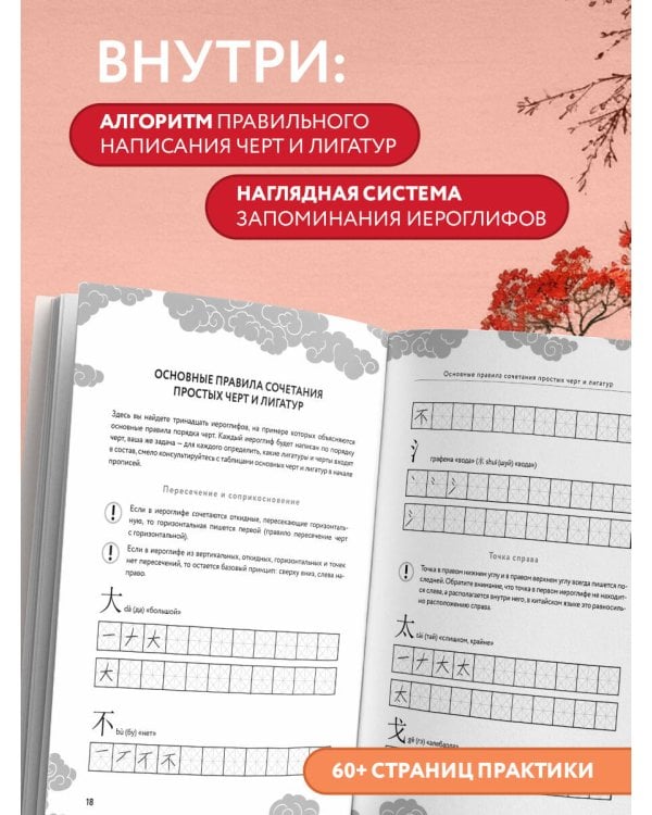 Китайские прописи для начинающих: введение в иероглифику