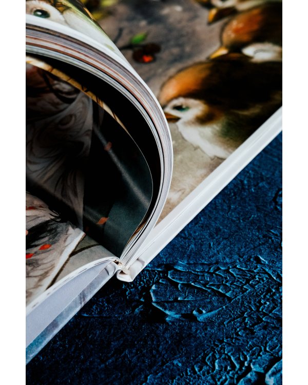 В поисках тени меж цветов. Иллюстрации Гу Гэли