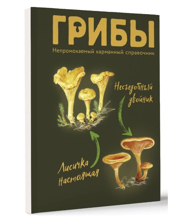 Грибы. Непромокаемый карманный справочник