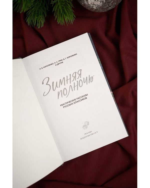 Зимняя полночь