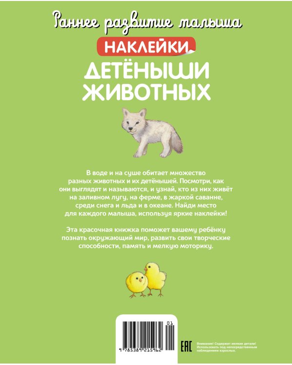 Детёныши животных