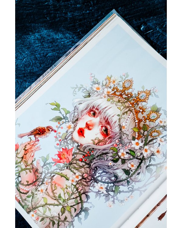 В поисках тени меж цветов. Иллюстрации Гу Гэли