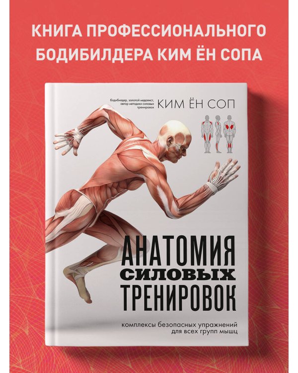 Анатомия силовых тренировок