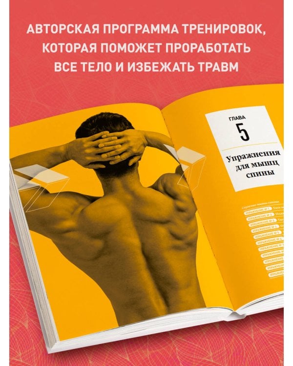 Анатомия силовых тренировок