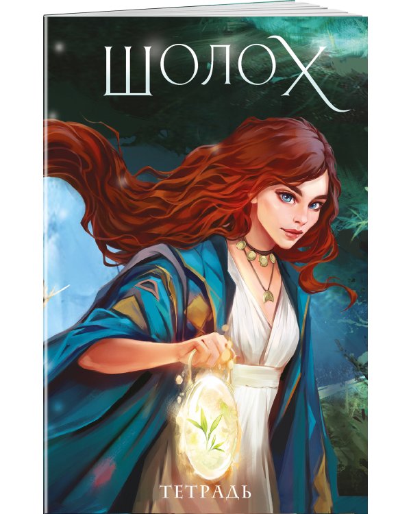 Тетрадь «Шолох»