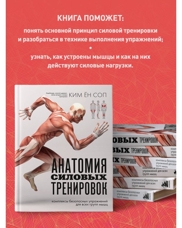 Анатомия силовых тренировок