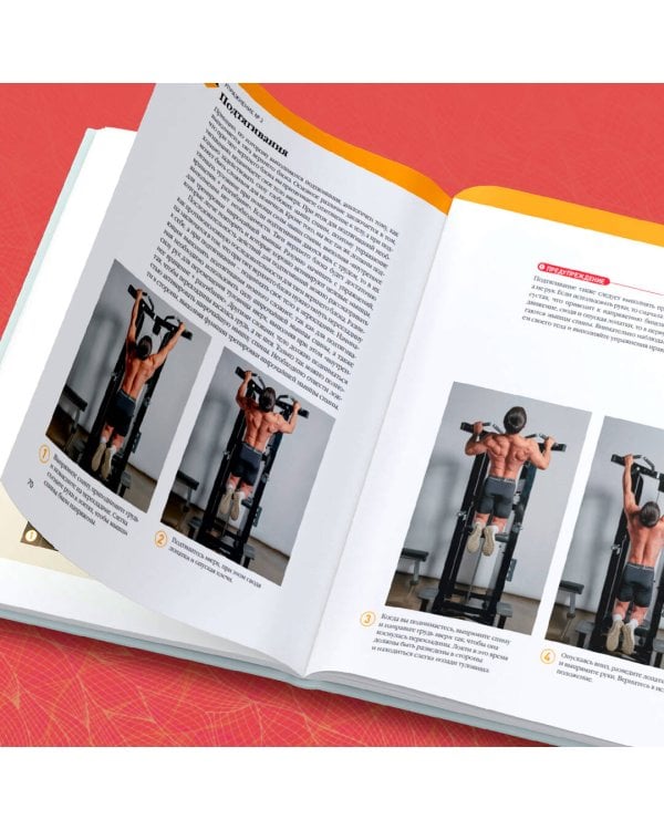 Анатомия силовых тренировок