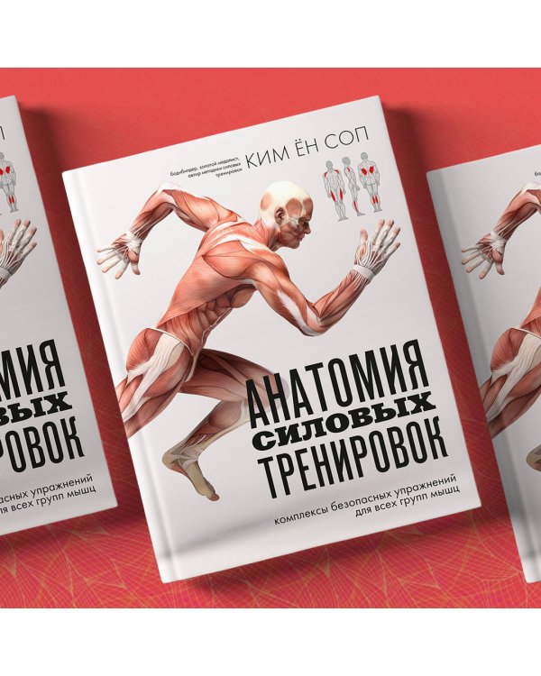 Анатомия силовых тренировок