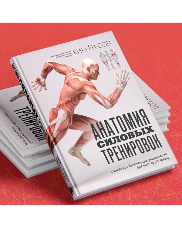 Анатомия силовых тренировок