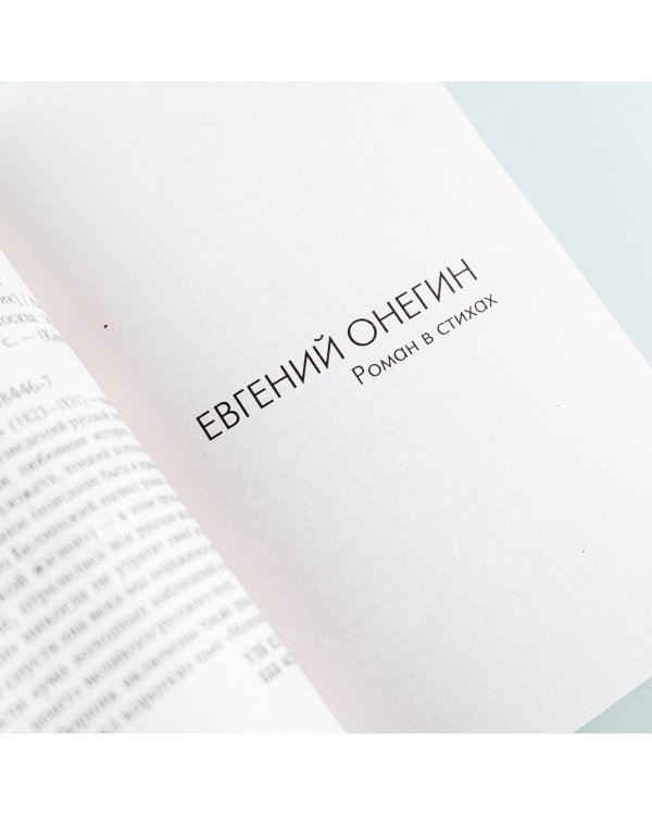 Евгений Онегин