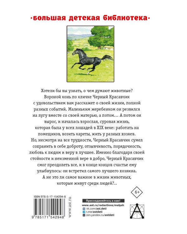 Черный красавчик