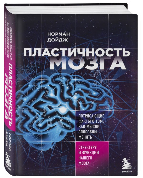 Пластичность мозга. Потрясающие факты о том, как мысли способны менять структуру и функции нашего мозга