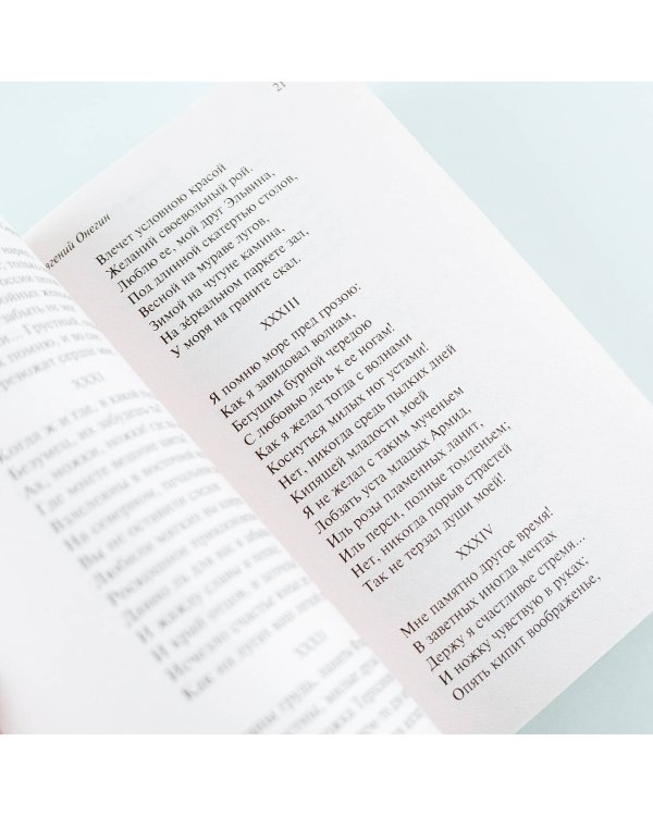 Евгений Онегин