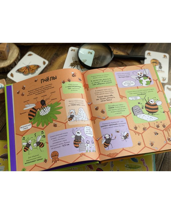 Насекомые и не только. От шмелей до навозных жуков: все ползуче-летучие факты, рекорды и достижения