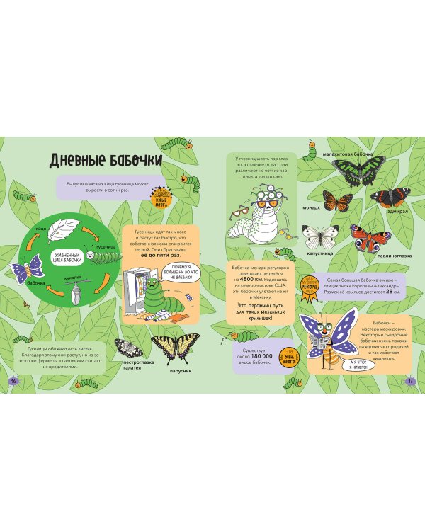 Насекомые и не только. От шмелей до навозных жуков: все ползуче-летучие факты, рекорды и достижения