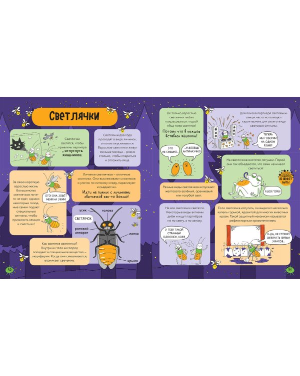 Насекомые и не только. От шмелей до навозных жуков: все ползуче-летучие факты, рекорды и достижения