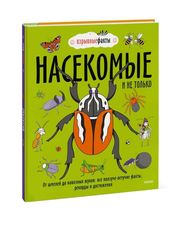 Насекомые и не только. От шмелей до навозных жуков: все ползуче-летучие факты, рекорды и достижения