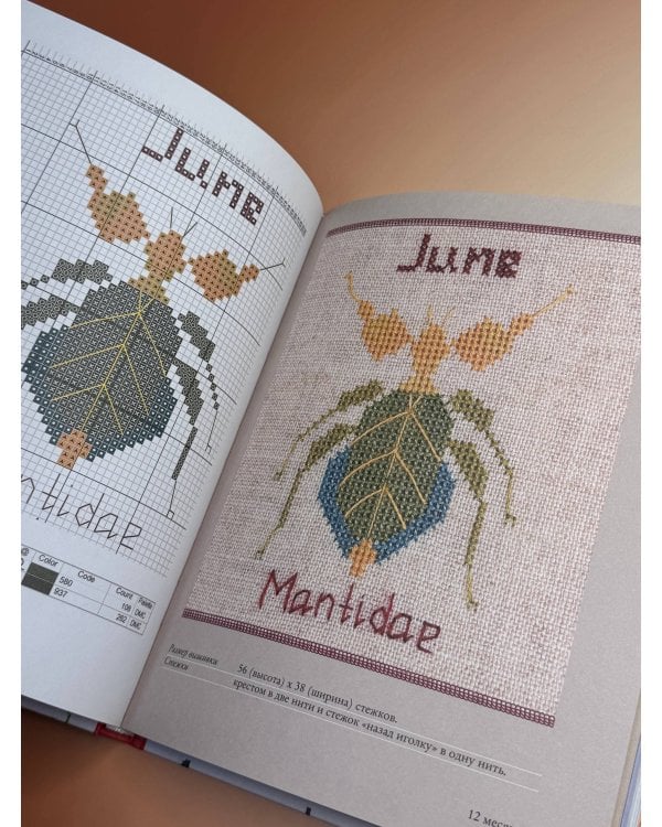 Французская вышивка крестом. 100 авторских мотивов со схемами