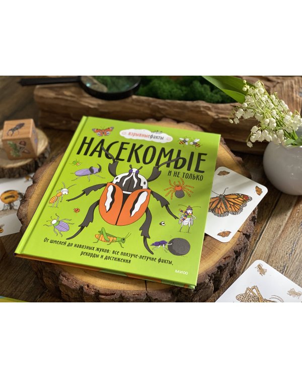 Насекомые и не только. От шмелей до навозных жуков: все ползуче-летучие факты, рекорды и достижения