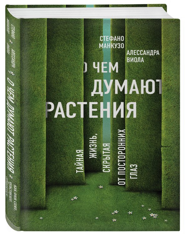 О чем думают растения