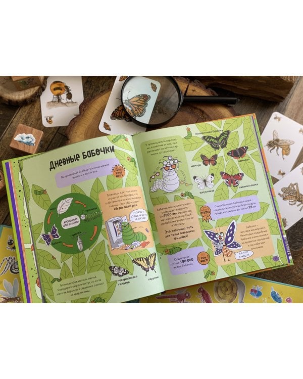 Насекомые и не только. От шмелей до навозных жуков: все ползуче-летучие факты, рекорды и достижения