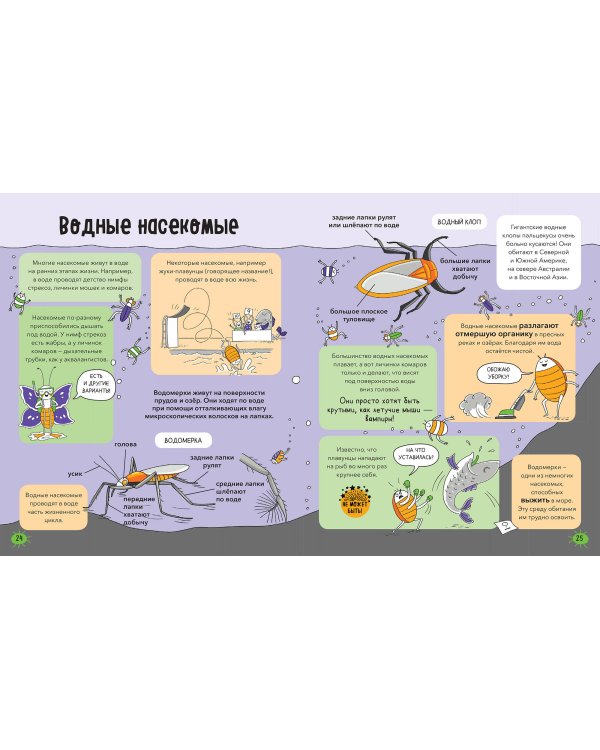 Насекомые и не только. От шмелей до навозных жуков: все ползуче-летучие факты, рекорды и достижения